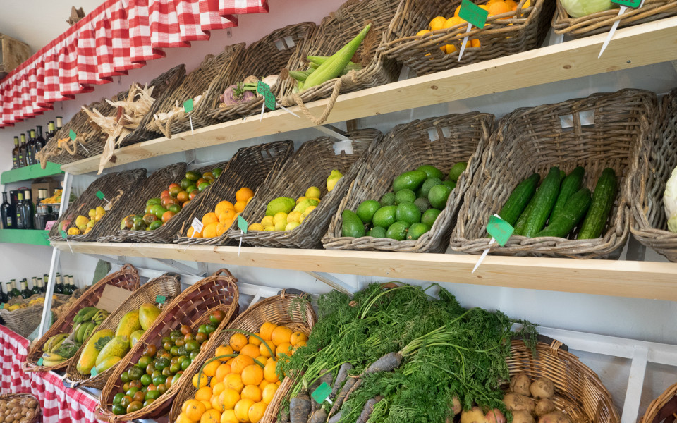 Nachhaltiges Gesch&auml;ft auf Lanzarote mit Gem&uuml;se und Obst