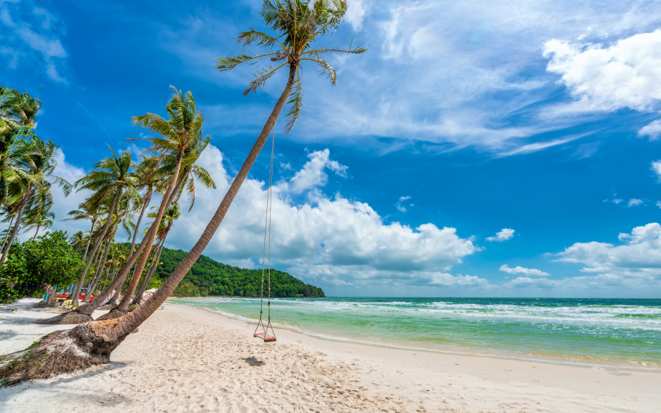 K&uuml;stenlandschaft mit tropischen Palmen am wundersch&ouml;nen Sandstrand Sao auf der Insel Phu Quoc